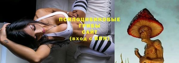 apvp Елабуга