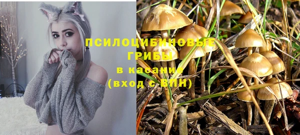 дурь Зеленодольск