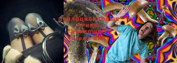 гидропоника Дмитровск