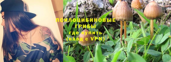 соль курить ск Дмитров