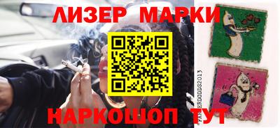 прущие грибы Кандалакша
