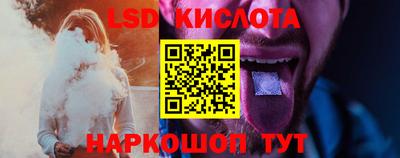 прущие грибы Кандалакша