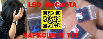 PSILOCYBIN Камышлов