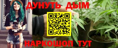 прущие грибы Кандалакша